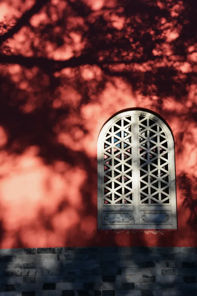 南京鼓樓公園銀杏｜紅牆光影+古今同框