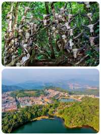 冬季錯峰出行,6個人少景美,節奏舒緩的寶藏旅行地!