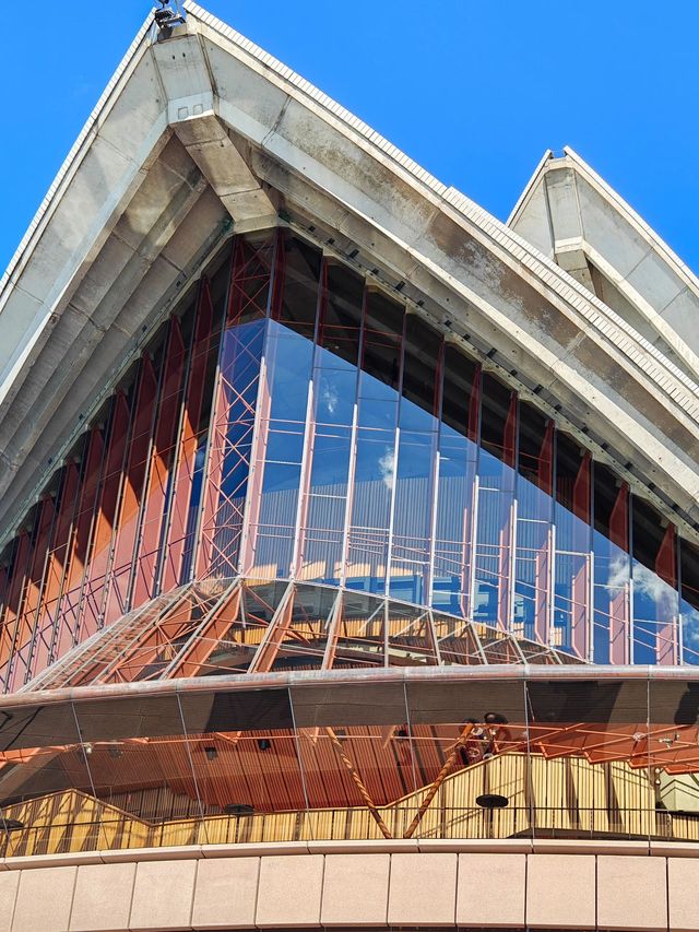 9日澳洲秋日遊攻略快碼住