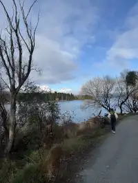 新西蘭南島一些漂亮的人生酒店民宿