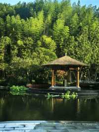 新開業!在溫州楠溪江泡個山林溫泉