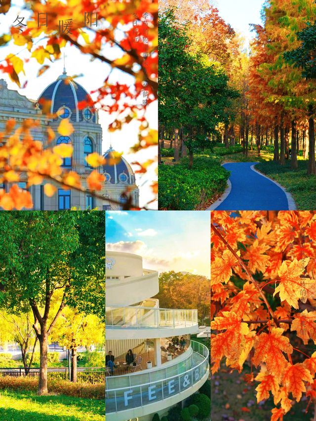 蘇州河畔超全秋日打卡攻略隨手拍都是電影感! 蘇州河畔超全秋日打卡攻略隨手拍都是電影感!