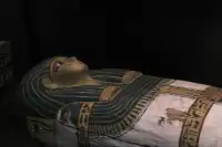 Day2(下午篇)開羅新地標之大埃及博物館