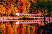 斑斕調色盤,律動生活詩--武漢解放公園秋色