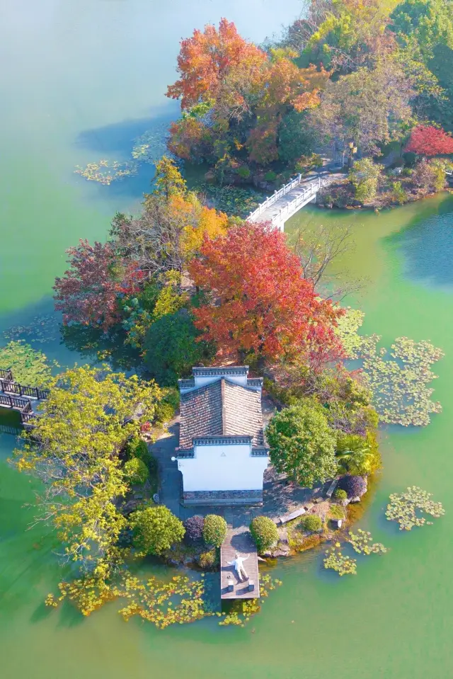 以為宏村秋天夠美了,直到去了這個皖南小鎮