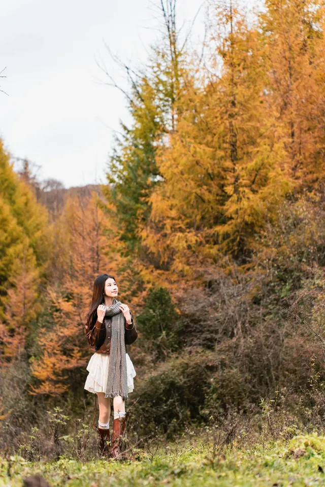 誤入秦嶺米倉山的油畫世界 誤入秦嶺米倉山的油畫世界