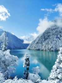 冬季川西九寨溝+畢棚溝賞雪3日遊攻略