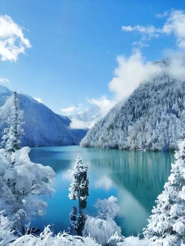 冬季川西九寨溝+畢棚溝賞雪3日遊攻略