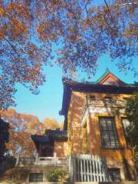 南京三天遊(秋天的尾巴)