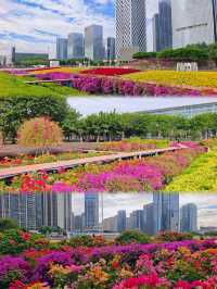 深圳這裡也太美了吧！！