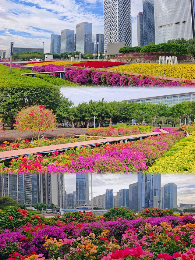 深圳這裡也太美了吧！！