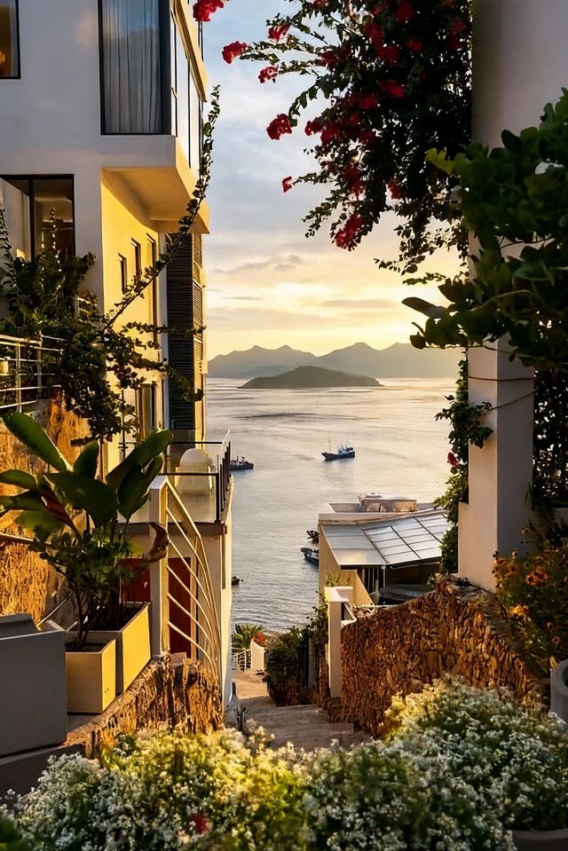 人回來了，心還在霞浦