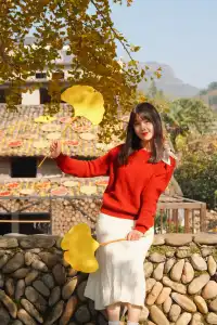 永嘉銀杏王超出片機位!!!