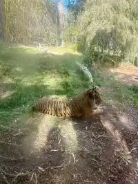 感恩節三天非特種兵帶娃San Diego遊推薦