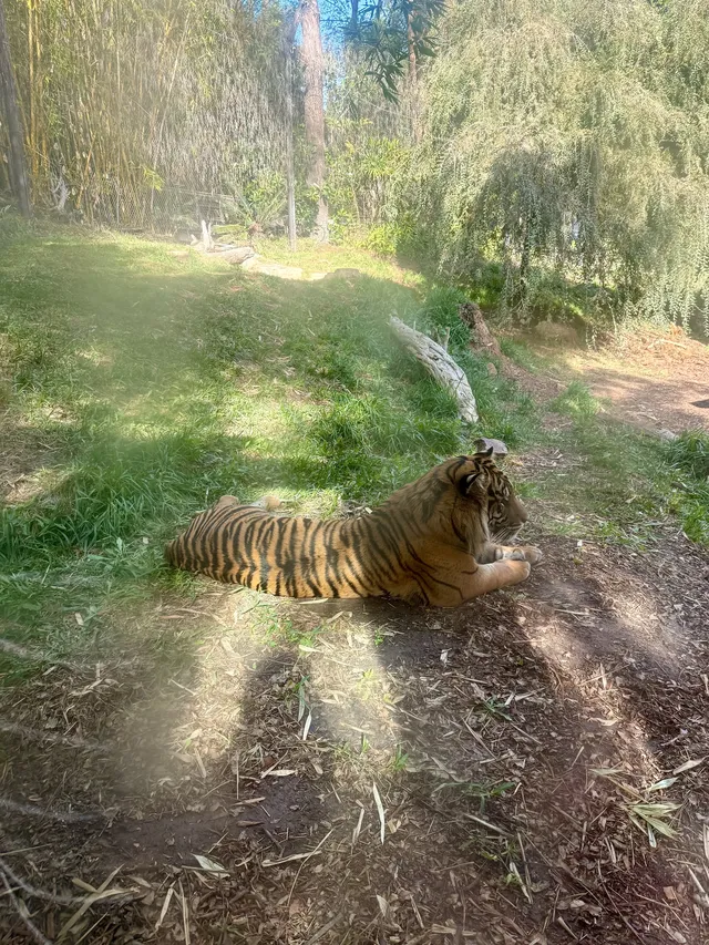 感恩節三天非特種兵帶娃San Diego遊推薦 感恩節三天非特種兵帶娃San Diego遊推薦