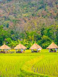 琅勃拉邦探秘慢生活