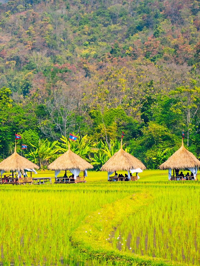 琅勃拉邦探秘慢生活