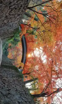 11.30植物園還是那麼有性價比 ＼(*T▽T*)／