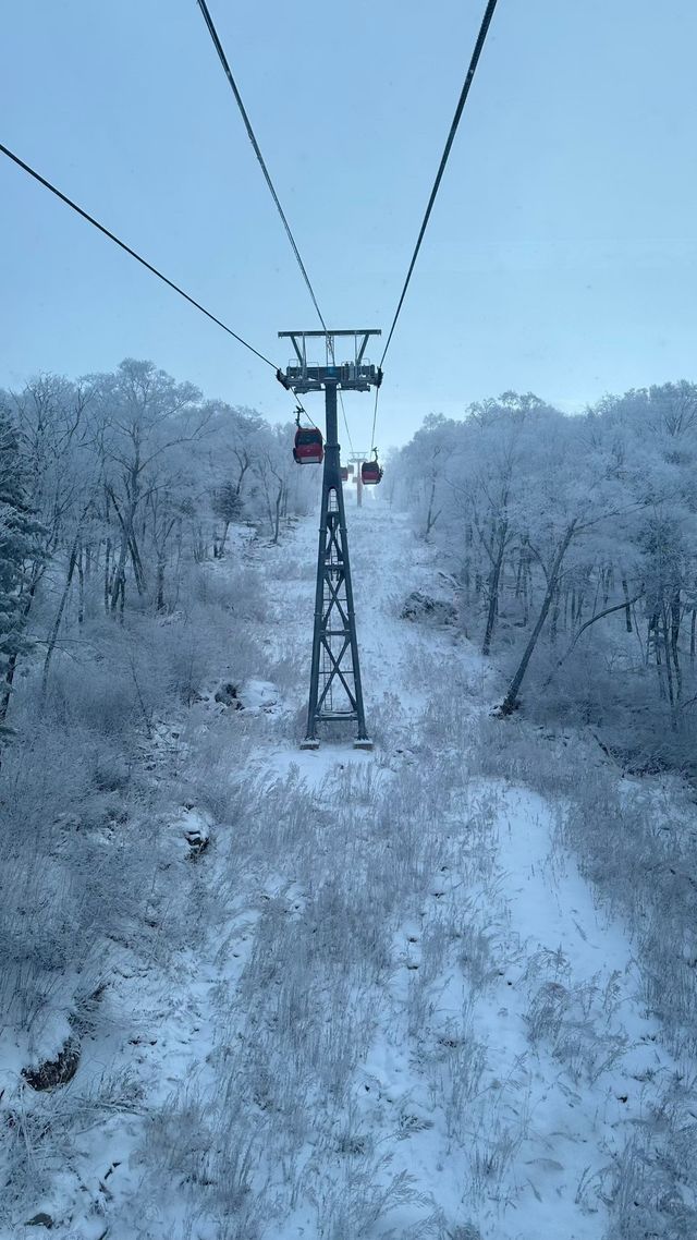 冬日仙境之旅北大湖滑雪地年度打卡記錄
