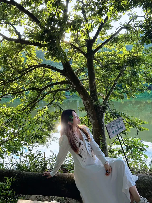 潮州吸氧|橄欖小莊愜意好時光