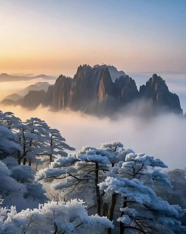 雲海仙境暴走指南黃山1日遊保姆級攻略! 地址:安徽省黃山市黃山區205國道 必去理由 五嶽 雲海仙境暴走指南黃山1日遊保姆級攻略! 地址:安徽省黃山市黃山區205國道 必去理由 五嶽