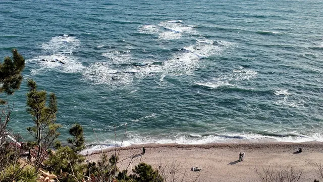 關於大連的初冬記憶 關於大連的初冬記憶