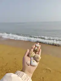 淡季週末日照看海