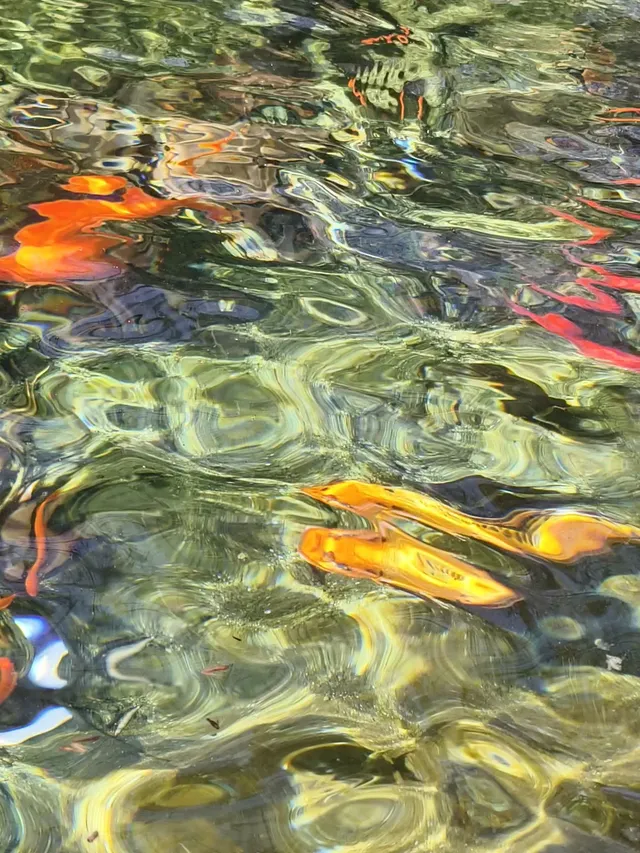 洛陽|龍門石窟|11.29實況 洛陽|龍門石窟|11.29實況