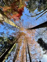 莫干山紅色氛圍已拉滿，趕緊衝！！