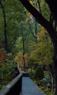 上海市中心兩小時賞秋路線