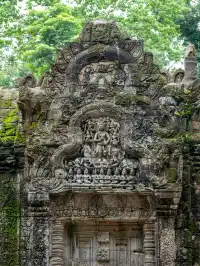 塔布隆寺|古墓奇兵取景地,異星球神樹奇觀