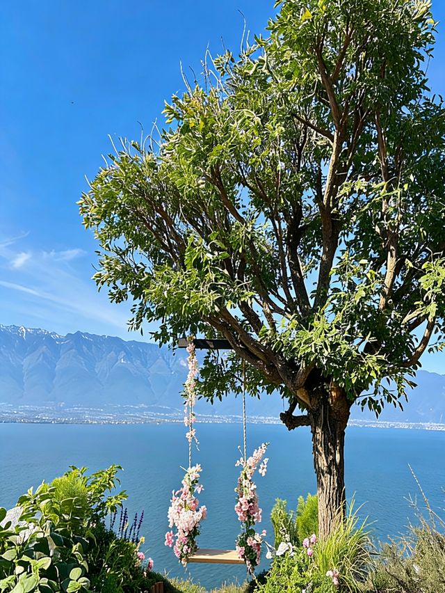 小眾浪漫天花板 小眾浪漫天花板