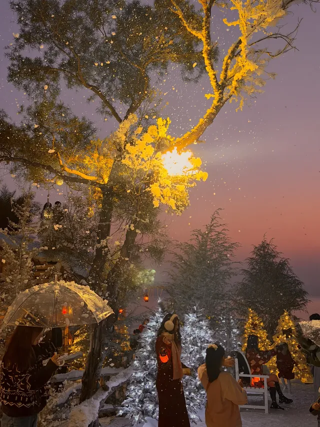 預計會是珠海下一個爆火打卡點 預計會是珠海下一個爆火打卡點