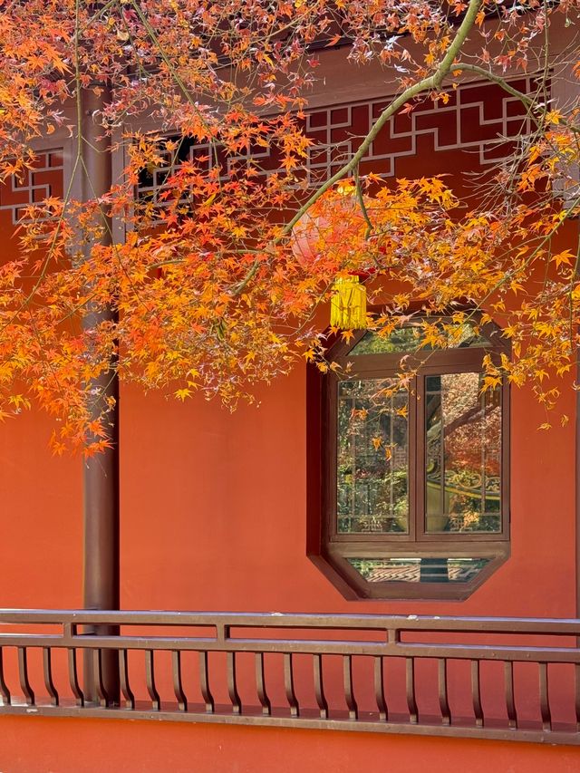 清涼山公園才是金陵賞秋天花板! 清涼山公園才是金陵賞秋天花板!