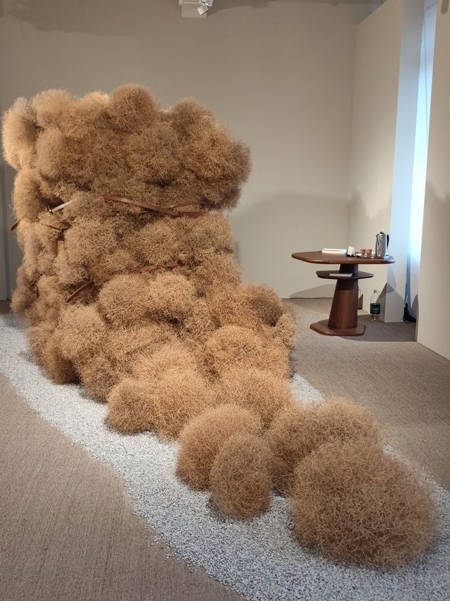 小眾展覽探店指南 小眾展覽探店指南