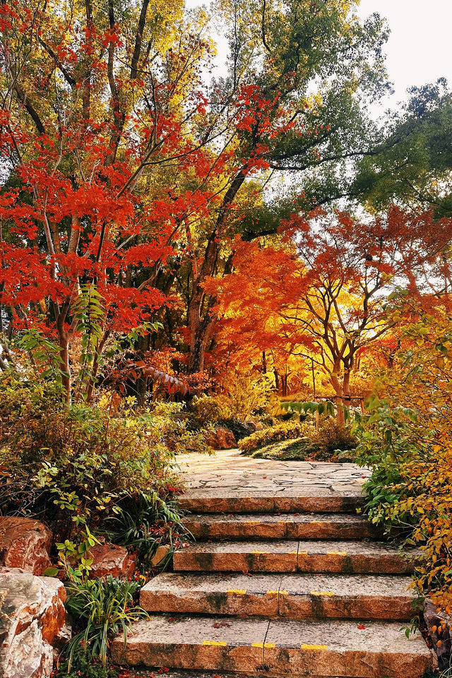 魔都賞秋封神路線!0元拍出大片感 魔都賞秋封神路線!0元拍出大片感