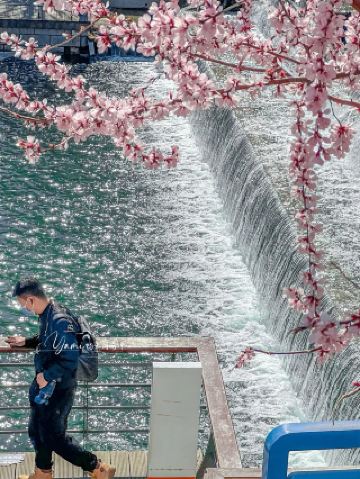 다가오는 베이징은 수많은 봄과 맑은 경치가 어우러진 곳입니다