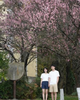 Kunming's March Limited Cherry Blossom Phone Booth is Perfect for Photos!
