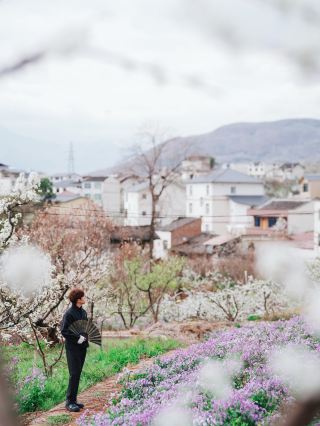 九襄の梨の花が咲きました！これこそ成都周辺の春の最高の遊び場です！