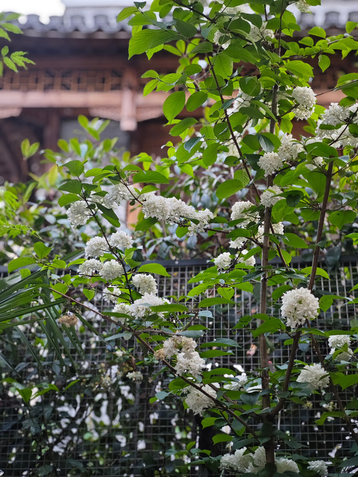 陶园艺术民宿 参考图 6