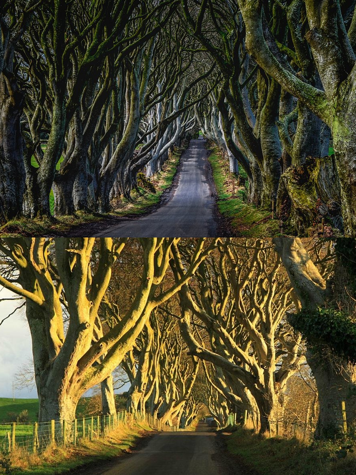 アイルランド＋北アイルランド、2026年最新の遊び方ガイド
