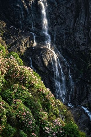 Wawu Mountain | Cliffside Plank Road Glimpse · Nanny-Level Guide