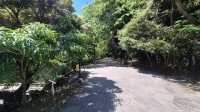 Beautiful Atmosphere and Scenic Waterfall Spot