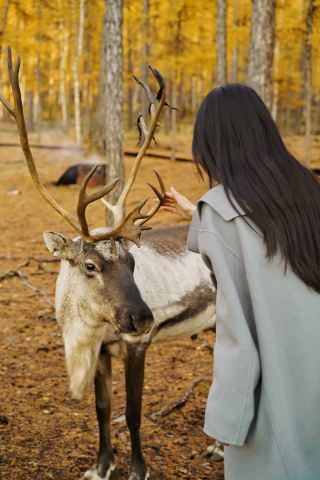 超癒される！自然と触れ合う幻想的な旅