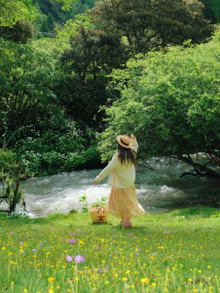 夏に必ず一度は川西へ行こう！穴場の無人花海の秘境