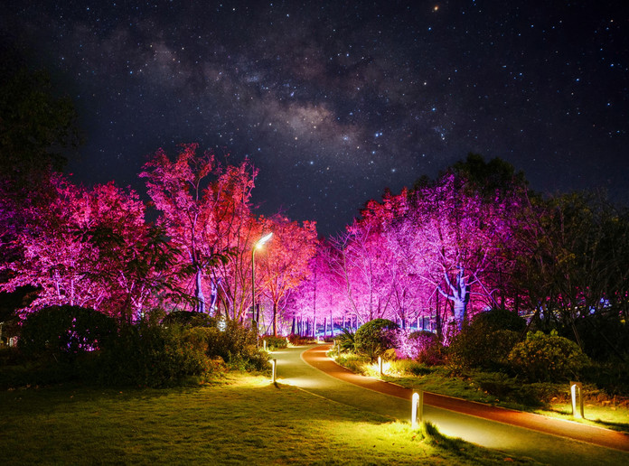 星空の下で輝く灯りの影 鳳凰山公園の夜景 | Trip.com 寧波