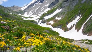 Latest update on the Mont Blanc TMB Alps!!
