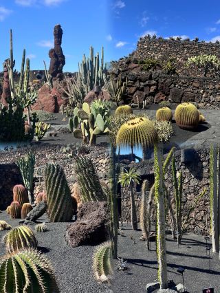 Dive into the Lanzarote underwater museum | watch an incredibly immersive silent film