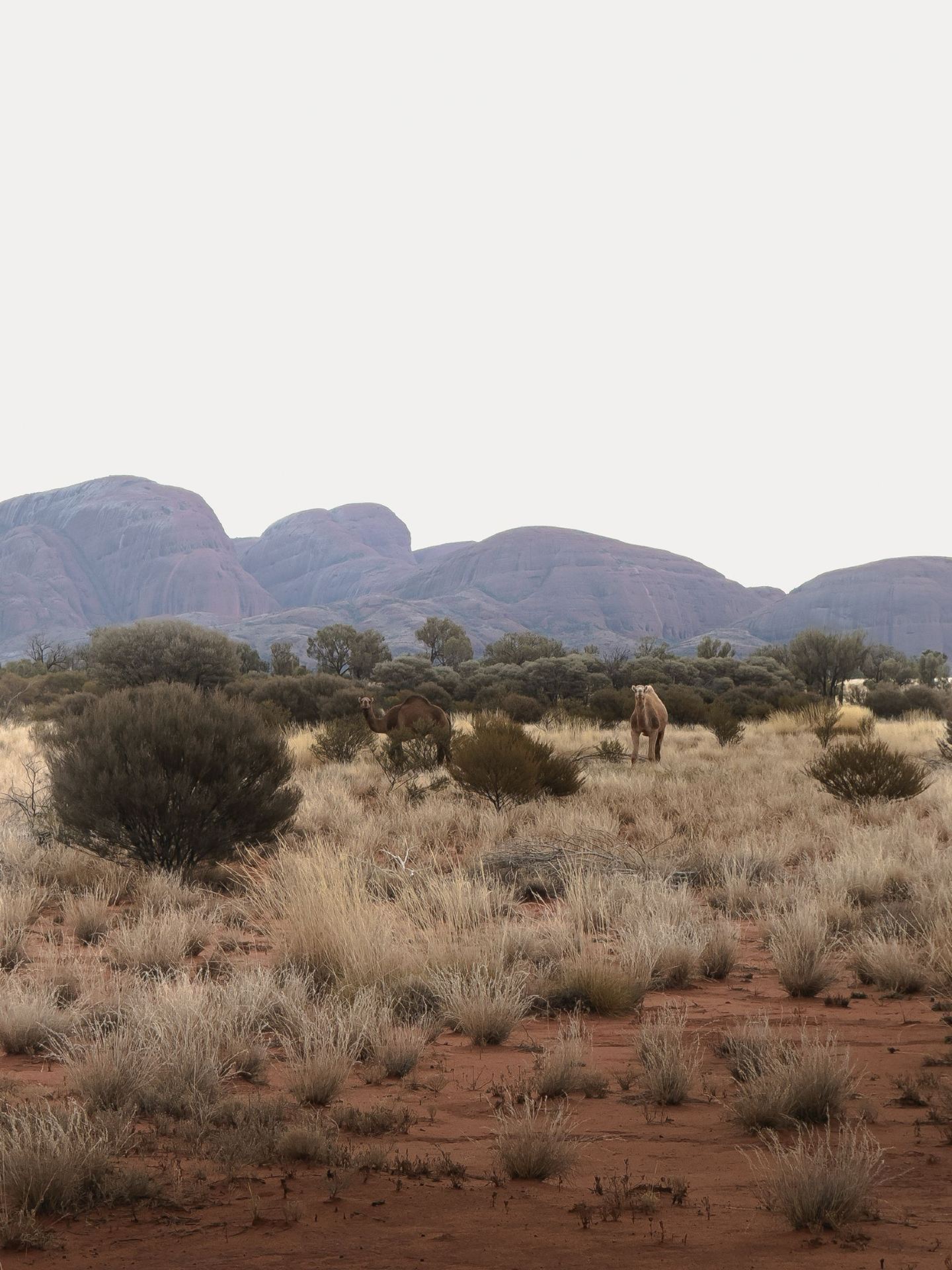 #Uluru# Kakadu National Park