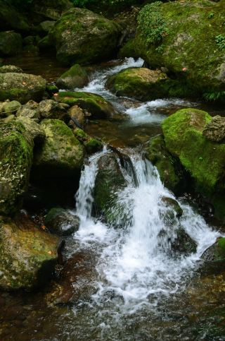 貴州荔波小七孔｜地球のベルトの上の翡翠、ゼリーの海が最高だ